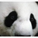 如何消除熊貓眼